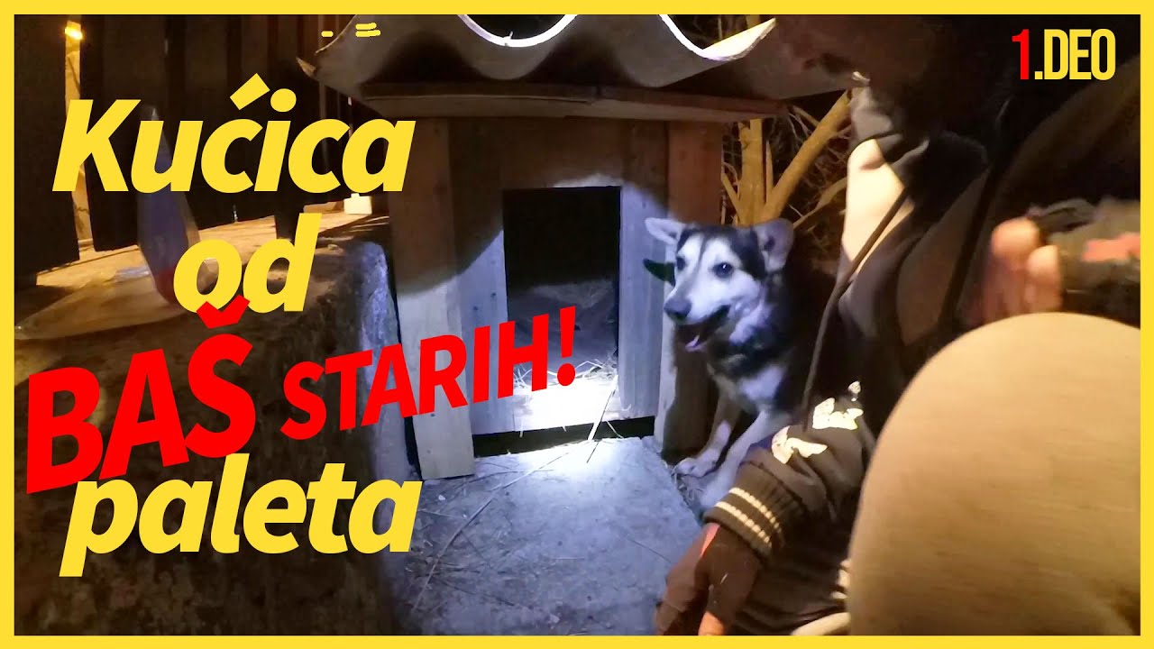 Skućili smo Miću – Pravljenje kućice od starih paleta (1 deo)