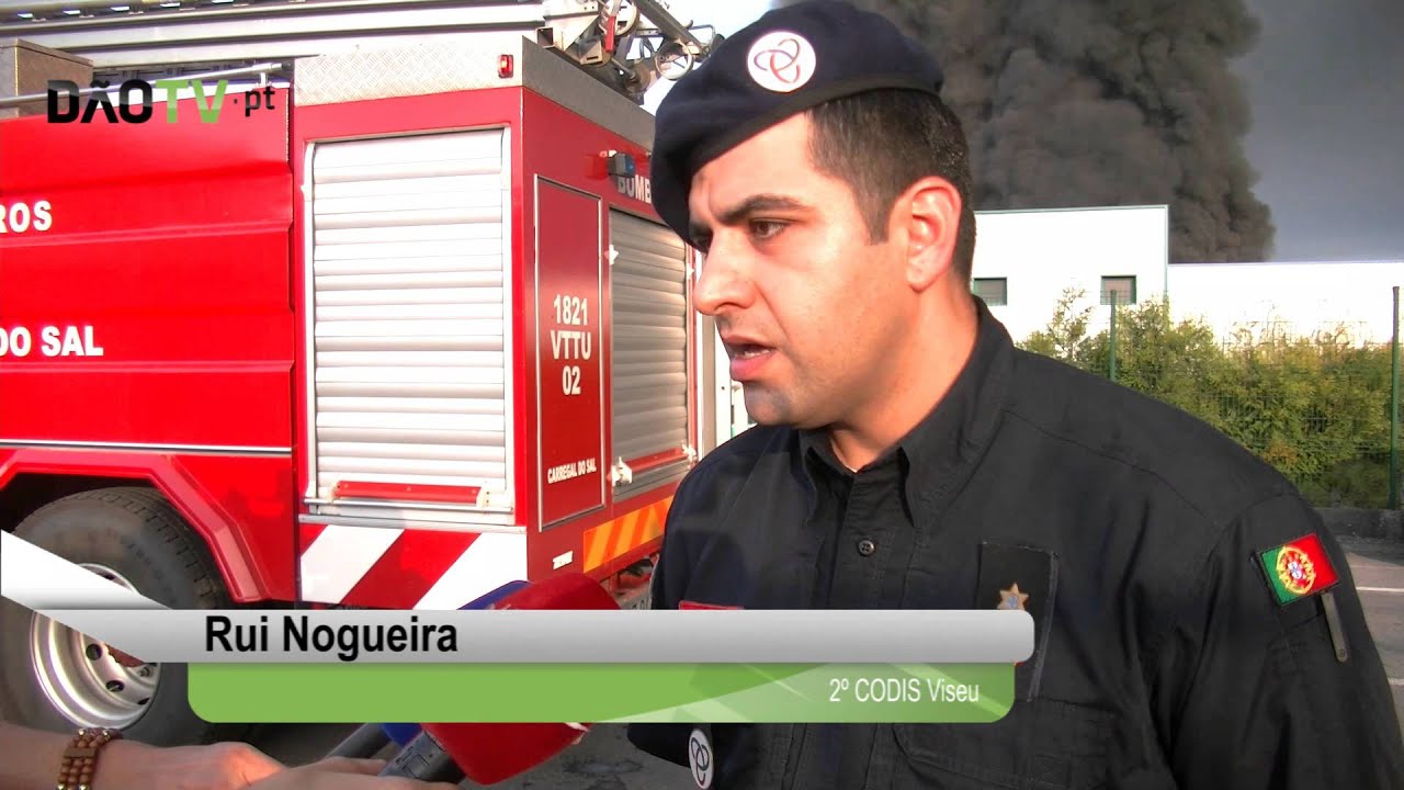 Tondela - Chamas destruíram material armazenado no Parque da Interecycling