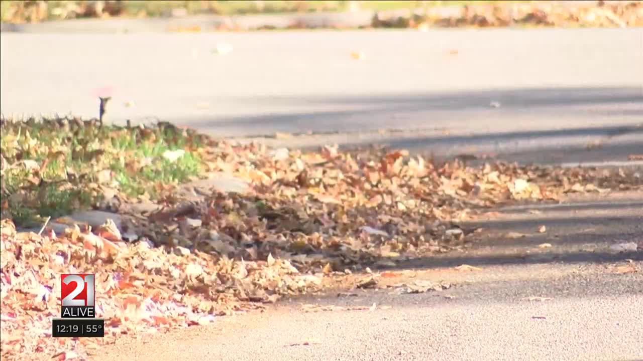 Seasonal leaf collection jobs available, city leaders say
