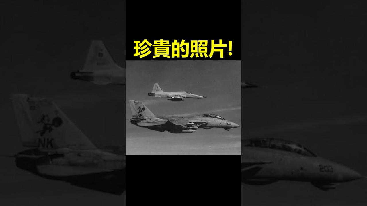 國軍F-5E曾與美國海軍F-14D較量過!? #軍事 #f5 #捍衛戰士 #topgun #dcs #shorts #f18