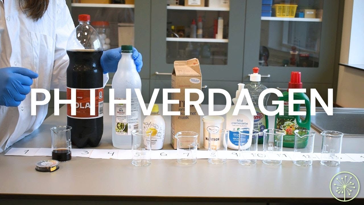 pH i hverdagen // Undersøg hverdagens kemikalier