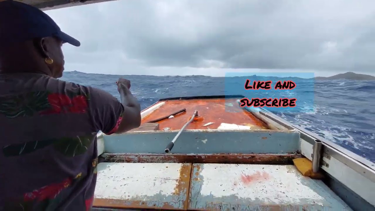 Mahi mahi hunting on Curacao part 1