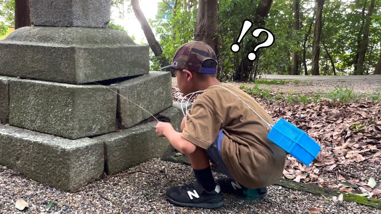 神社でトカゲ釣り