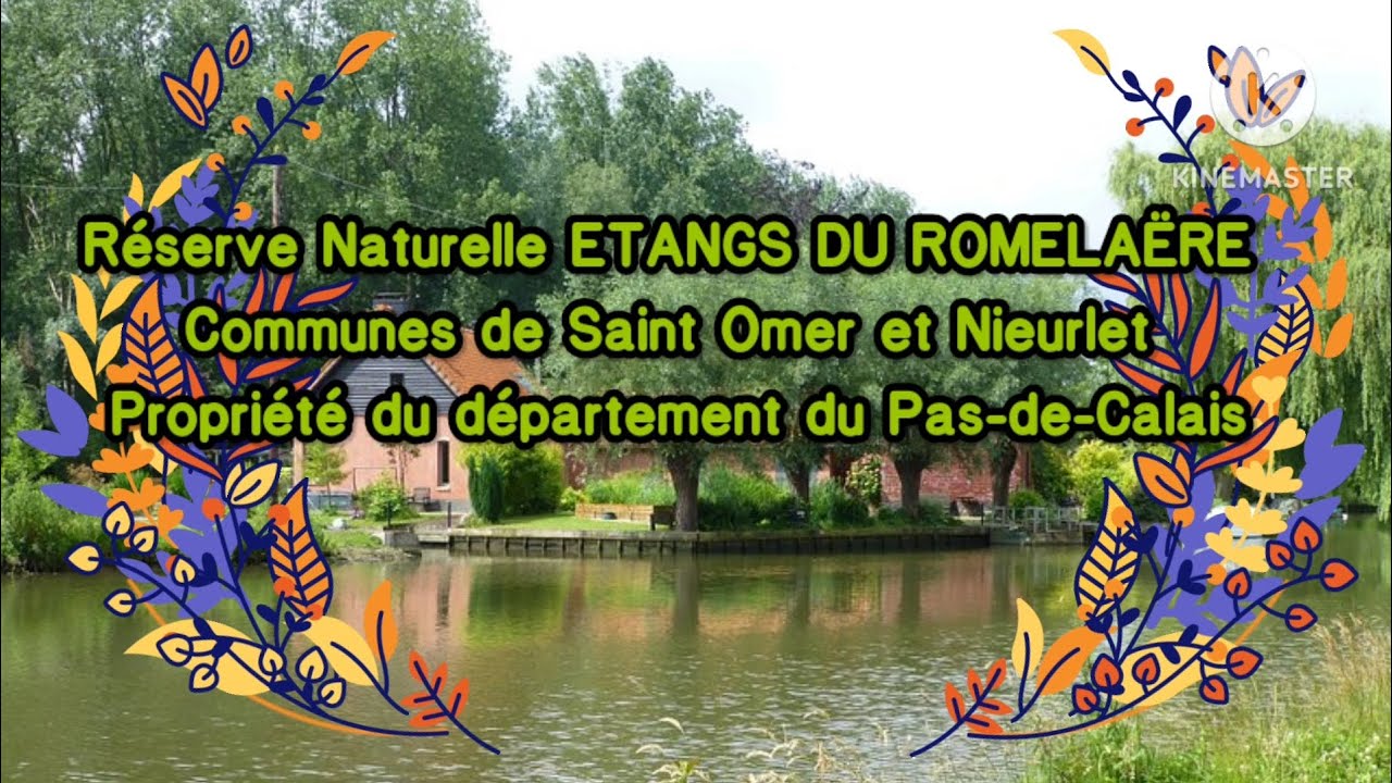 Réserve naturelle ÉTANGS DU ROMELAERE, Saint Omer et Nieurlet. Pas-de-Calais