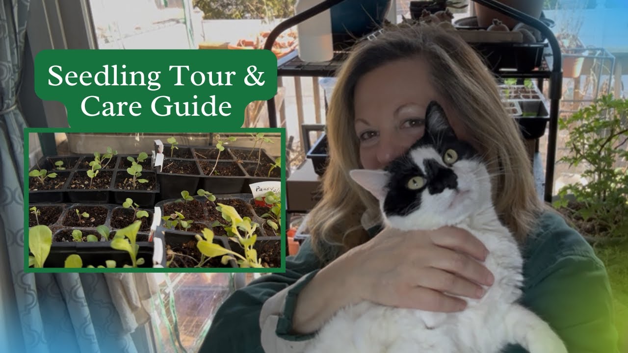 Ultimate Seedling Tour & Care Guide 🌱 | Tips for Healthy Growth