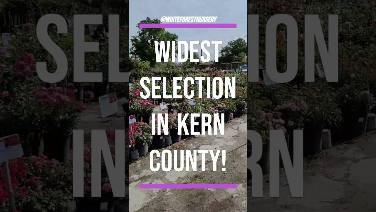 Bakersfield Garden Center, the Widest Selection in Kern County!