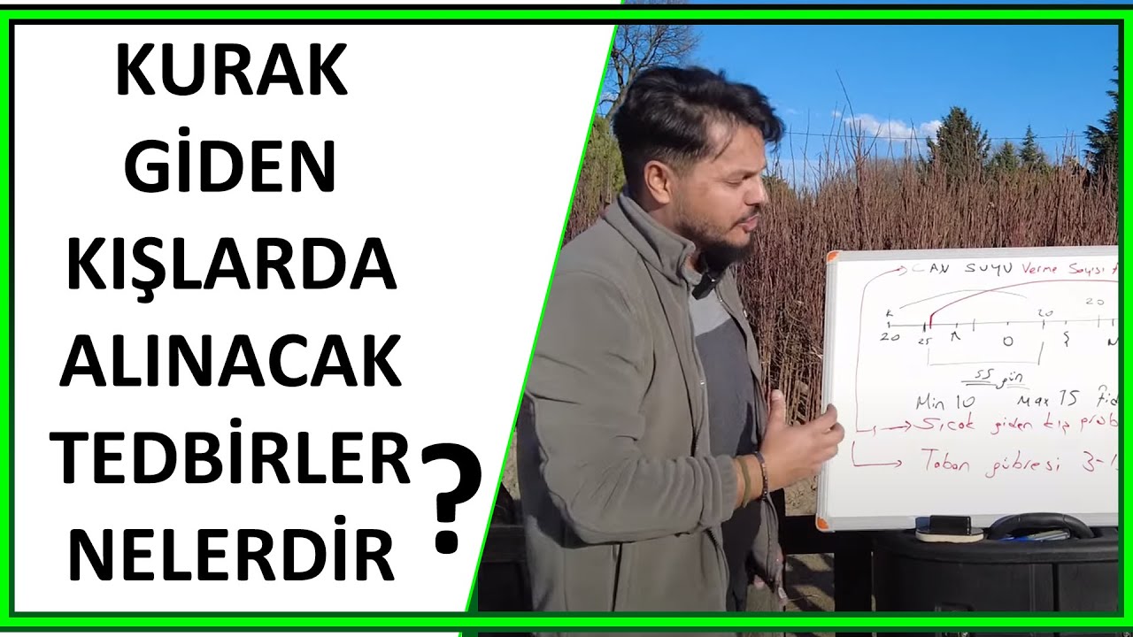KIŞLAR KURAK GİDİYORSA FİDANLAR İÇİN NELER YAPILMALI ?
