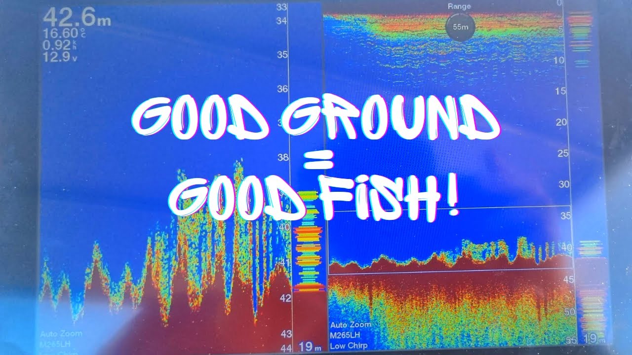 Boat fishing basics, setting your drift, what ground to look for on your sounder for dhuis & more!