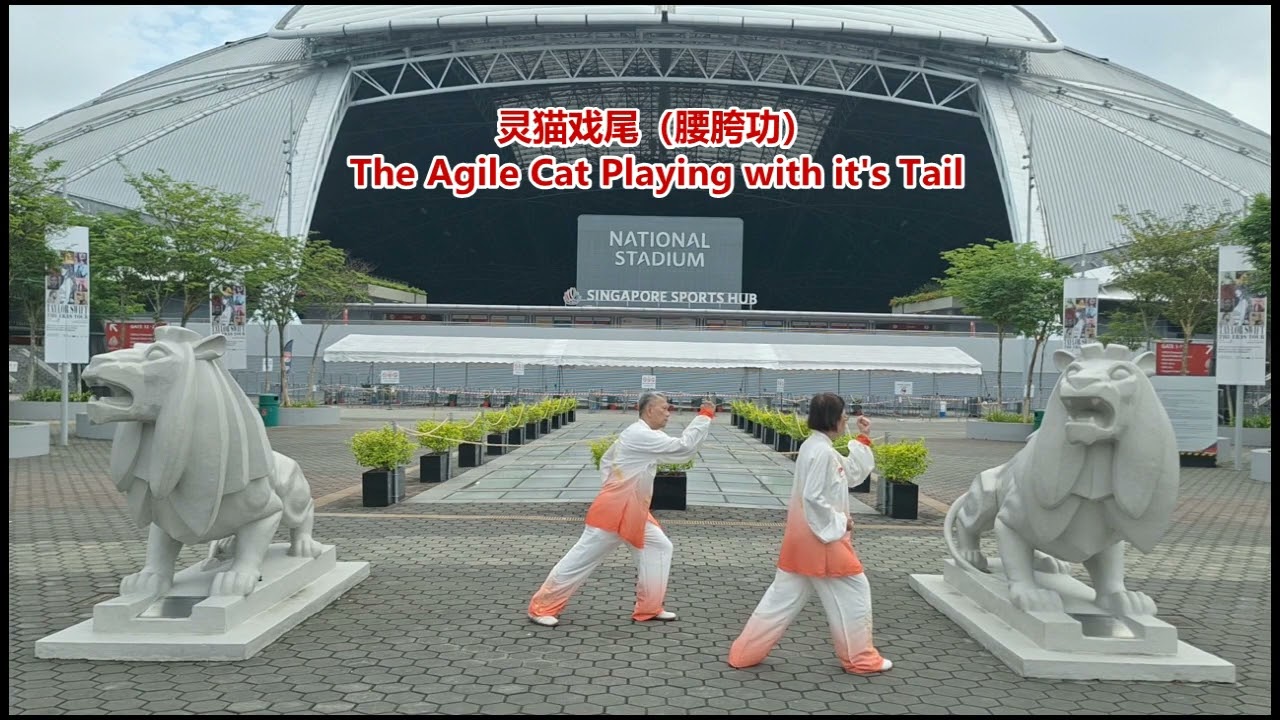 Physical and Health Preservation Warm-up Exercise, Eng subtitles & self created Vocal instructions .