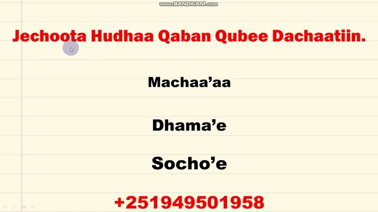 Jechoota Hudhaa Qaban Qubee Dachaatiin.