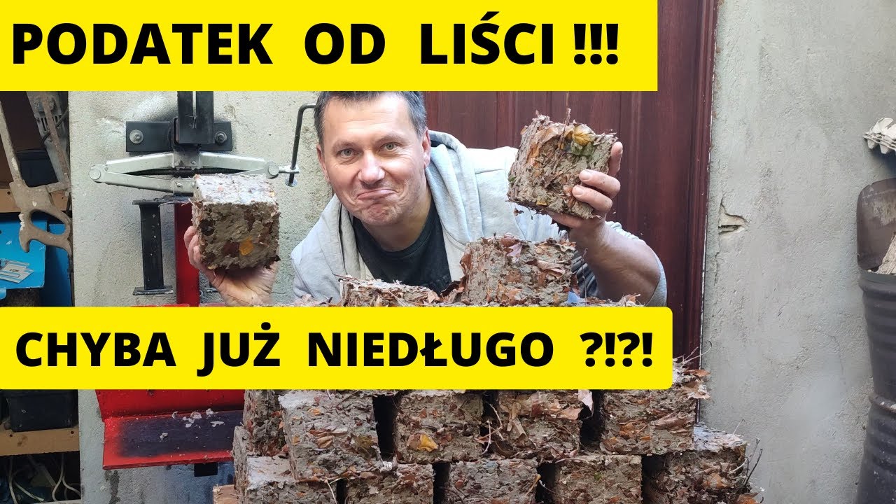 Налог на листья??? Возможно ли это??? - Как сделать брикеты из листьев - Как сделать брикетировоч...