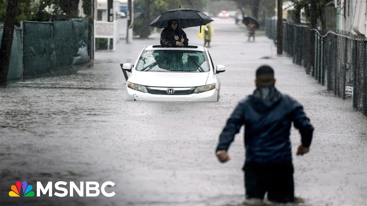 'Chaos': Florida under state of emergency amid record rain and flooding