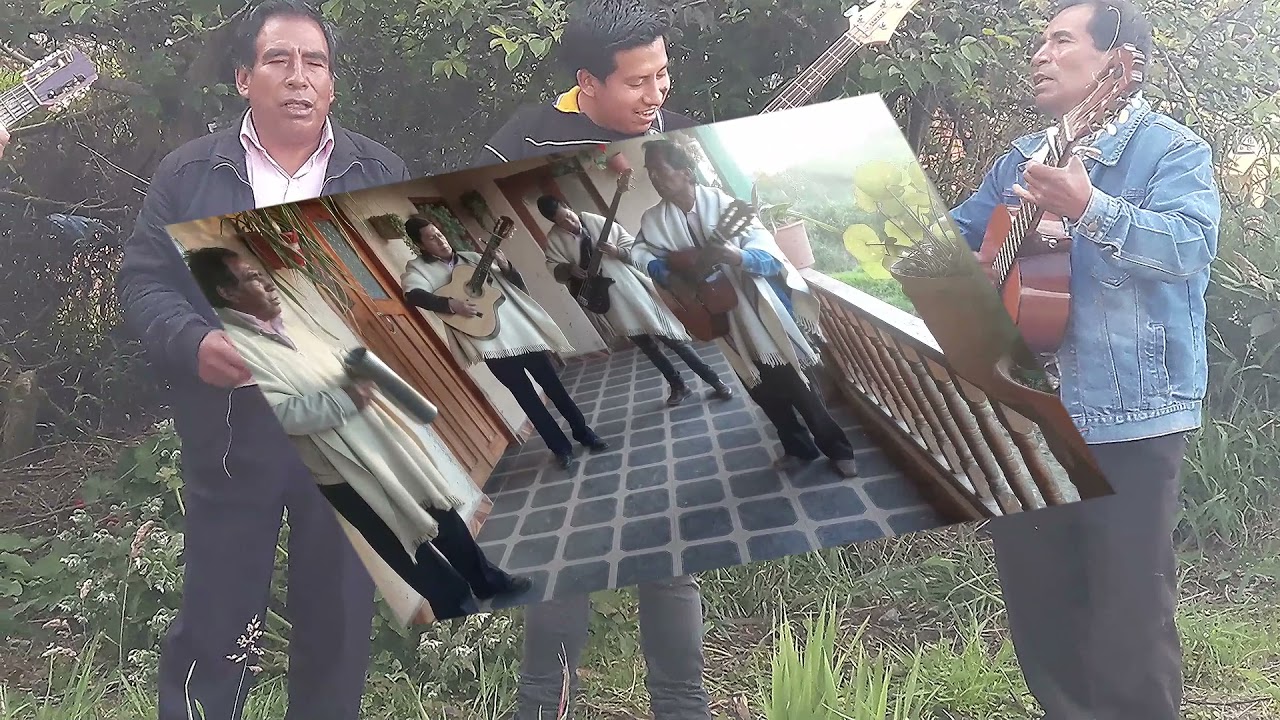 MATICAS DE PEREJIL