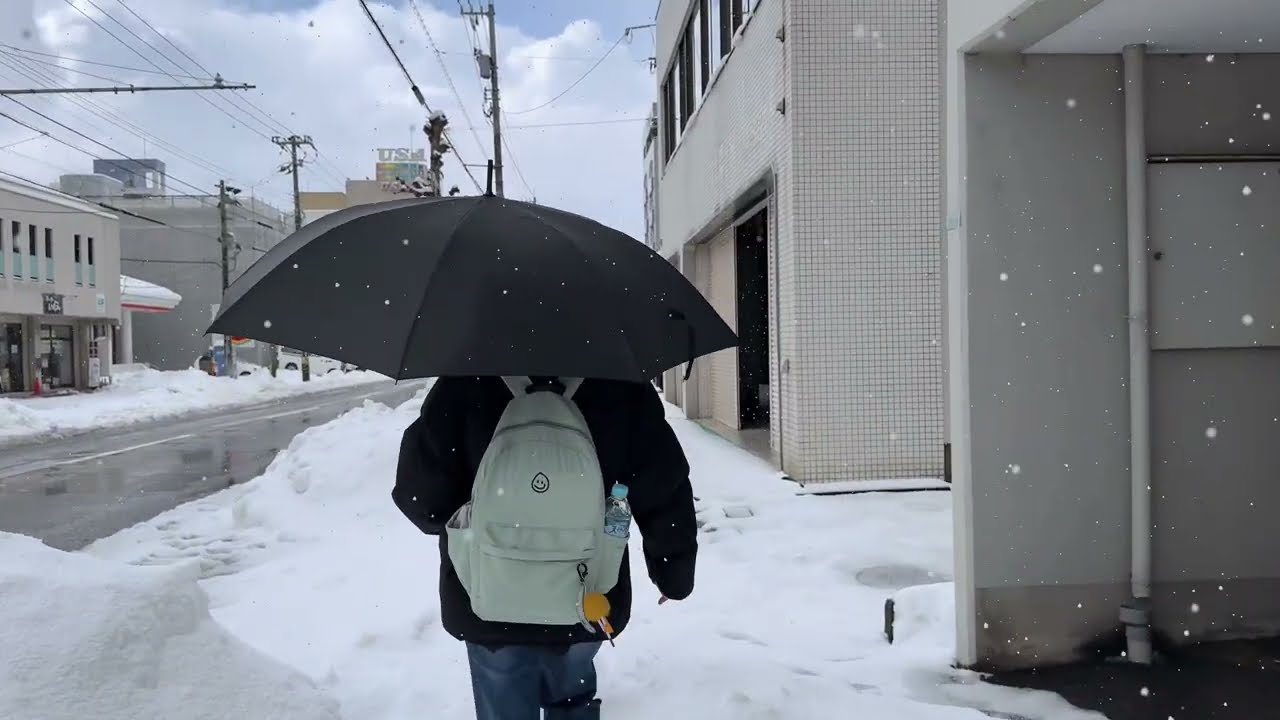 ❄️ Snowfall in Japan 2025 | Fukui Winter Travel Vlog | Beautiful Japanese Countryside Experience