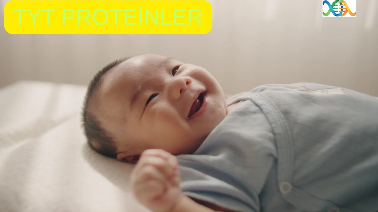 TYT-PROTEİNLER
