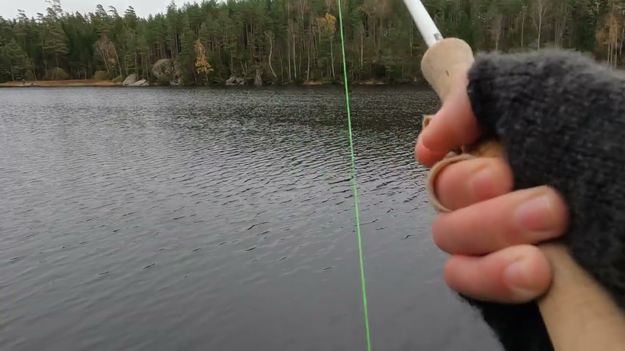 Stor Regnbåge på Booby fluga