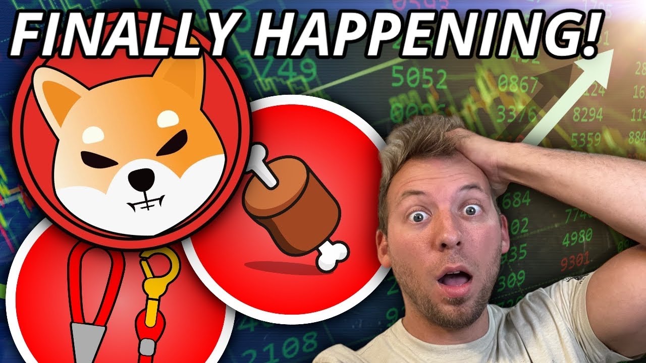 SHIBA INU BONE LEASH - IT'S FINALLY HAPPENING!!!