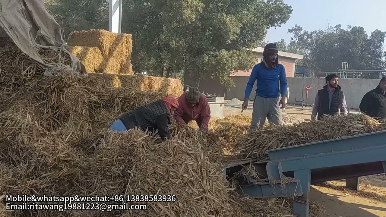 Turning Waste into Resource: Kowloon Biomass Shredder for Rice Straw & Sugarcane Trash in Pakistan