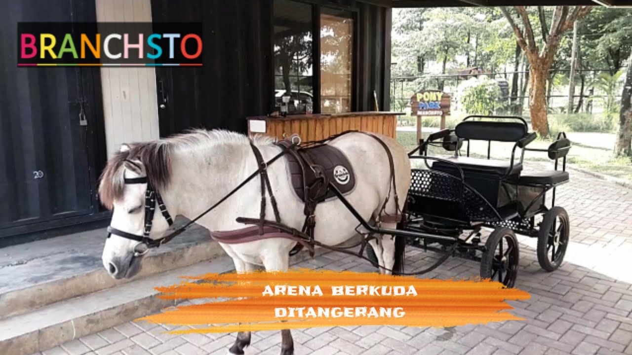 WISATA BERKUDA DI TANGERANG || BRANCHSTO
