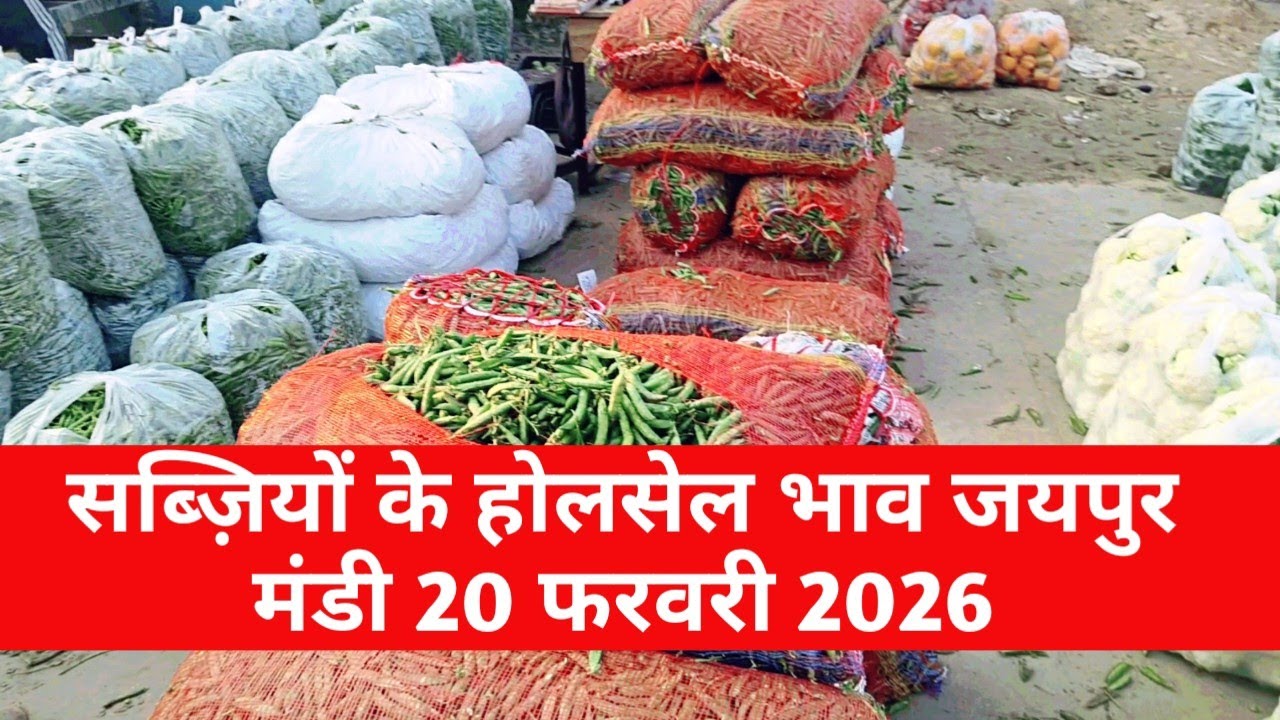 20 फरवरी 2026 जयपुर सब्जी मंडी भाव 🥦 आज के ताजा रेट | Jaipur Vegetable Market