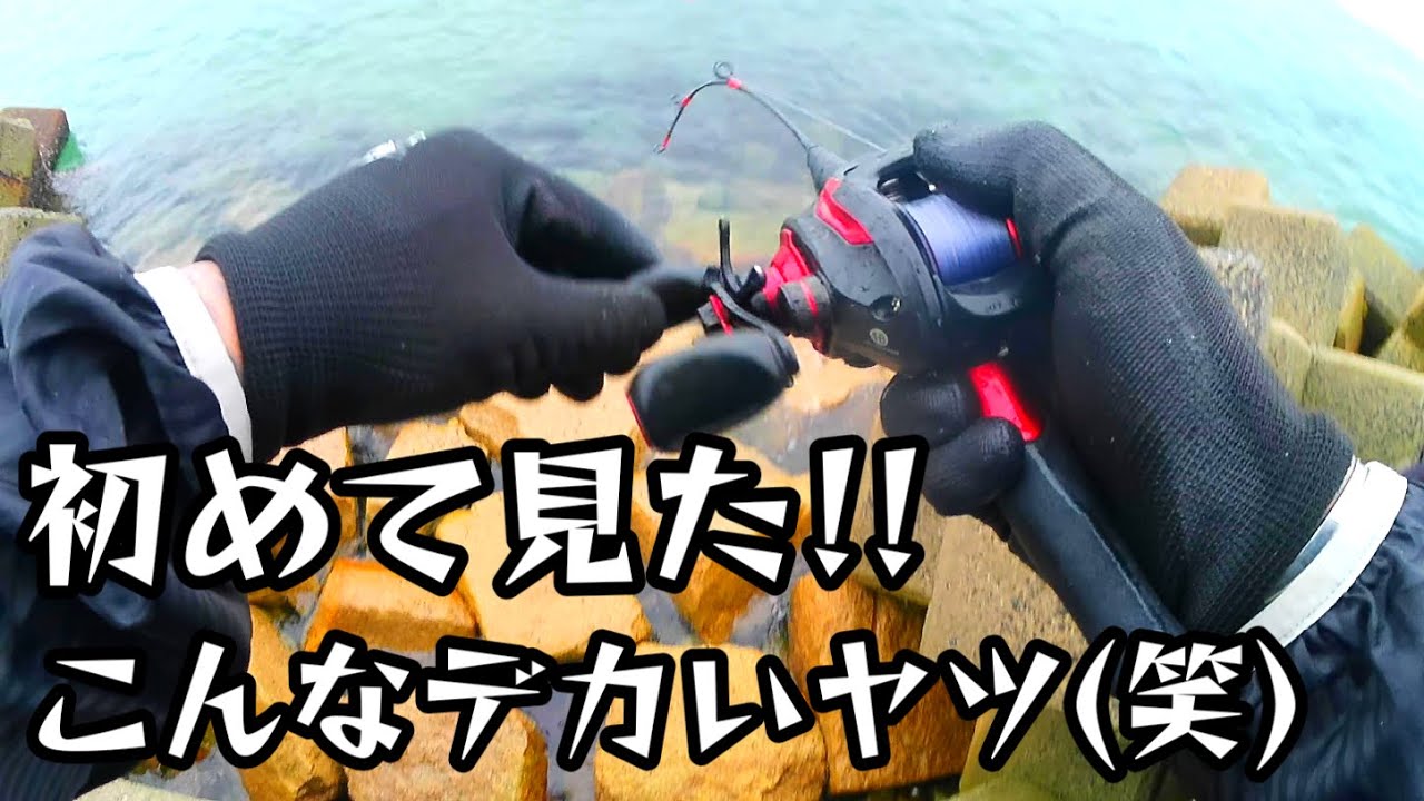 『穴釣り』淡路島でギンポ狙い!!
