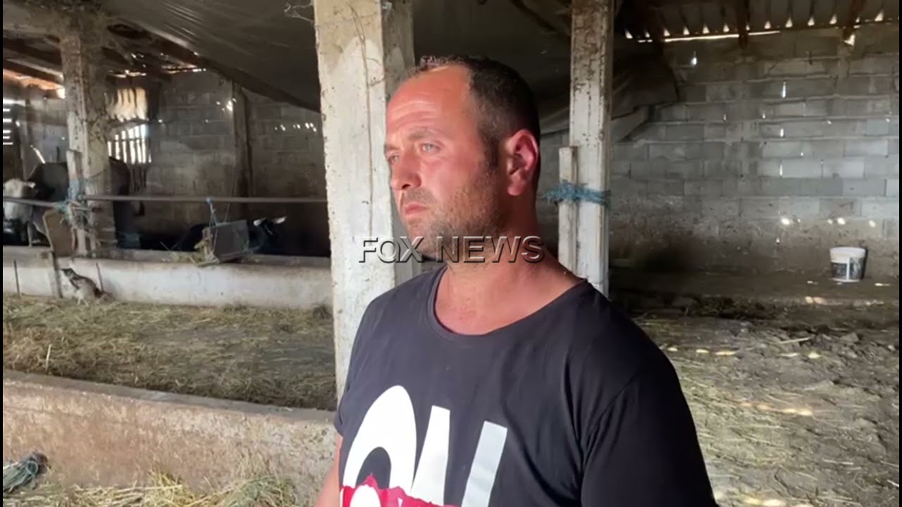 Grabitet stalla e lopëve në Levan të Fierit
