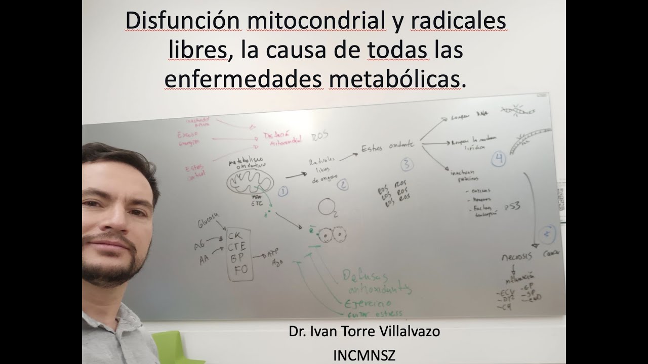 Disfunci&oacute;n mitocondrial y radicales libres, la causa de todas las enfermedades metab&oacute;licas