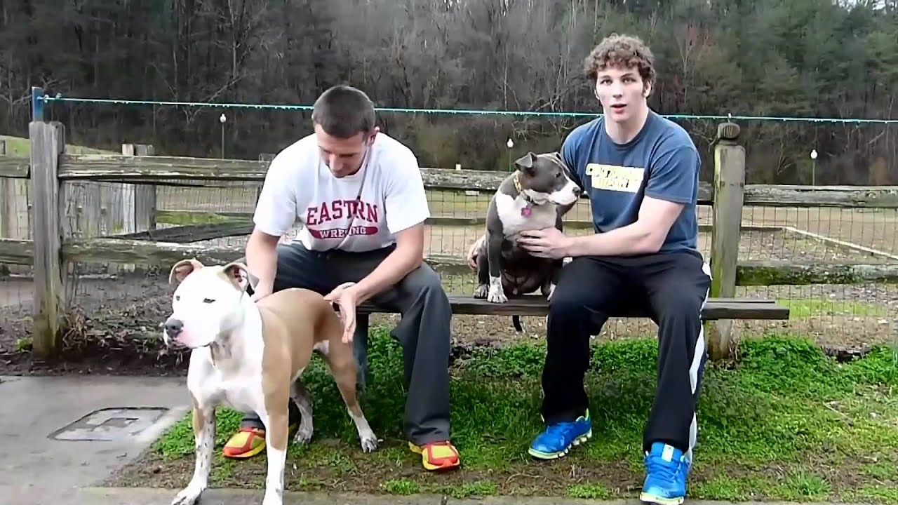 Humane Educational Society Special Needs Pets