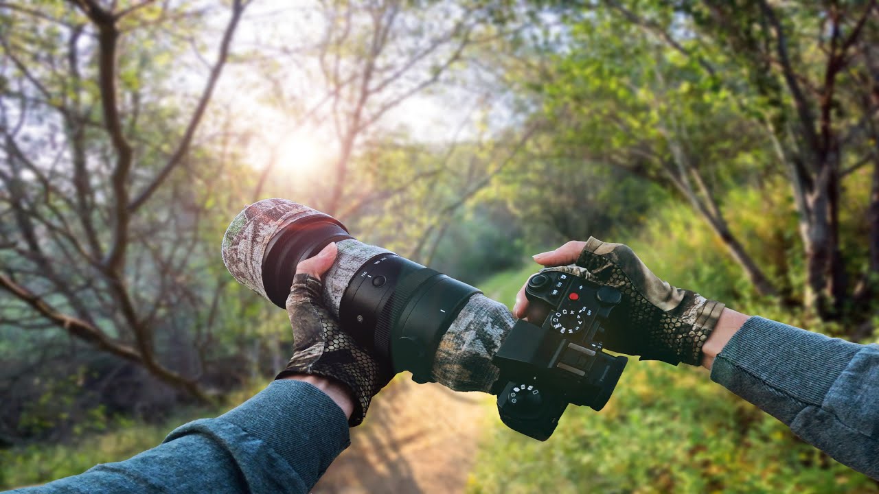 Тихая фотосъемка птиц в ущелье каньона