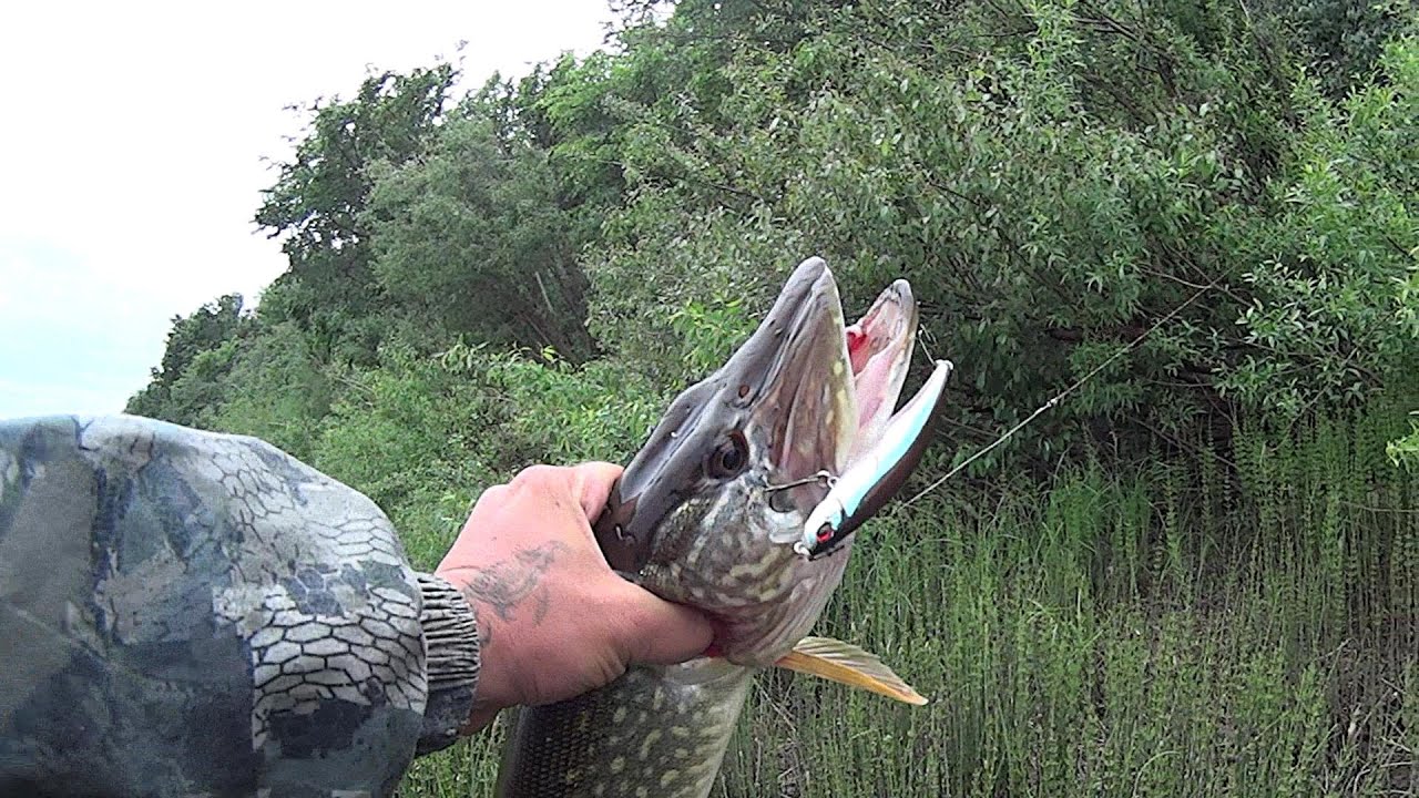 DUO Tide Minnow 90F . Было дело ... )