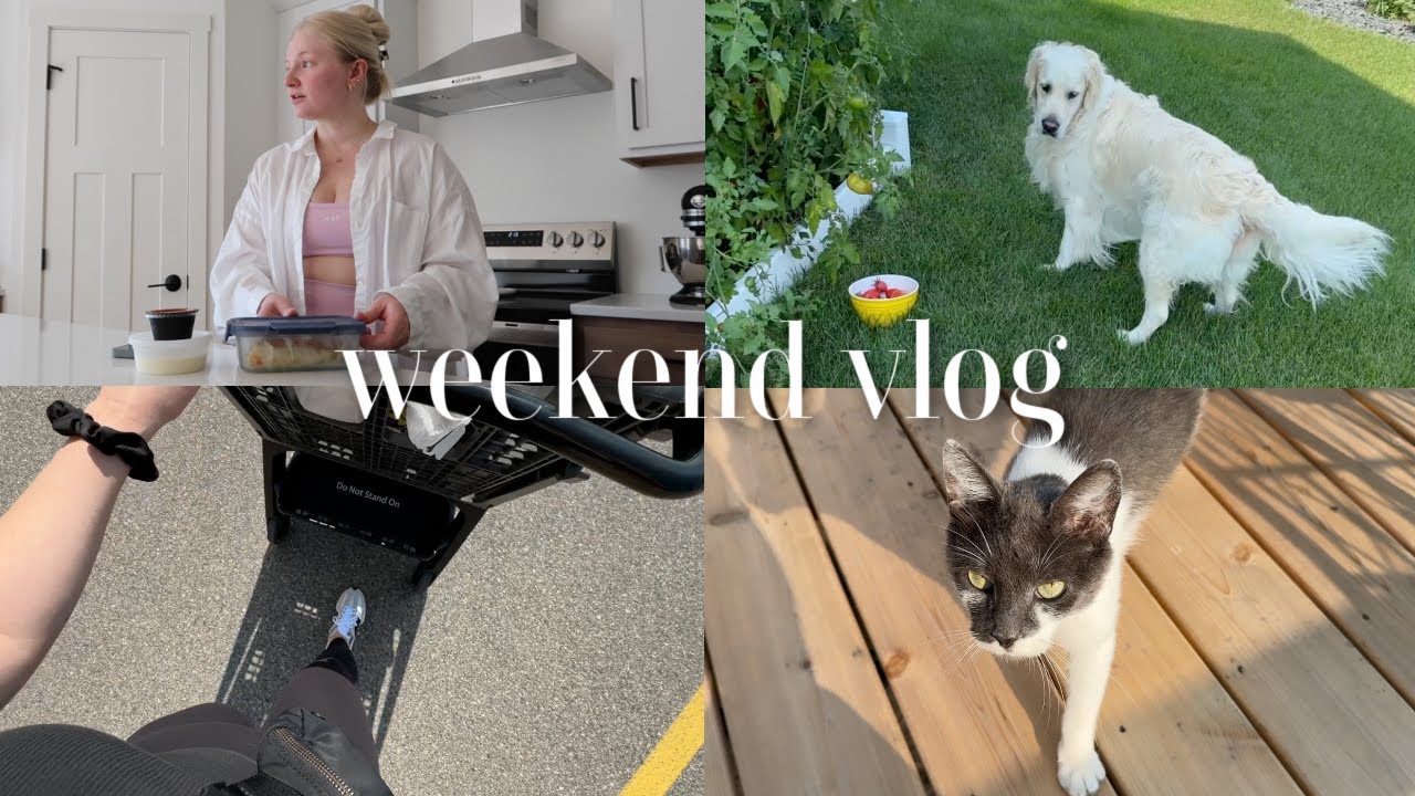 weekend vlog: grocery shopping, Home Goods haul, seeing It Ends With Us