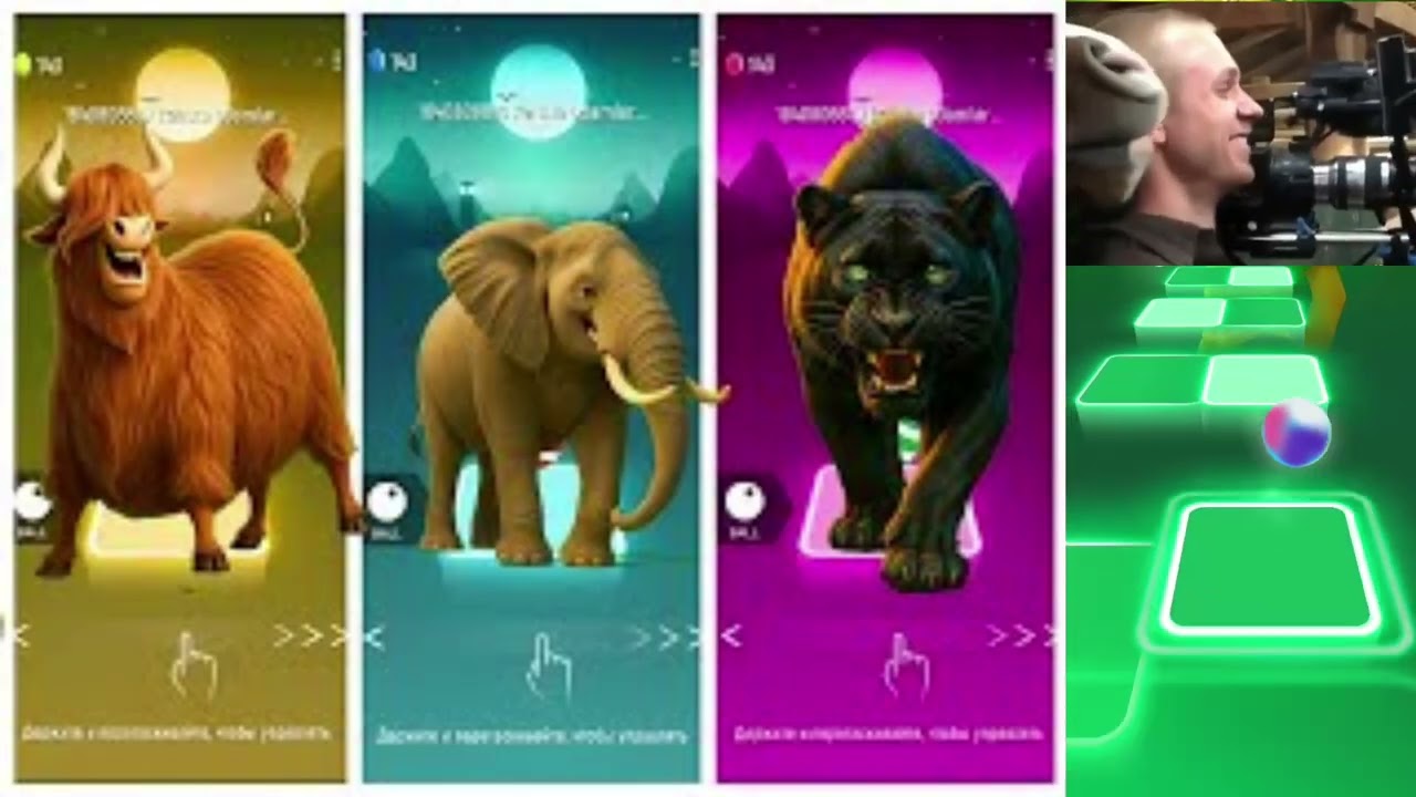 Funny Animals - Tiger 🆚 Cow 🆚 Elephand 🆚 Lion 🎵 Tiles Hop #part3