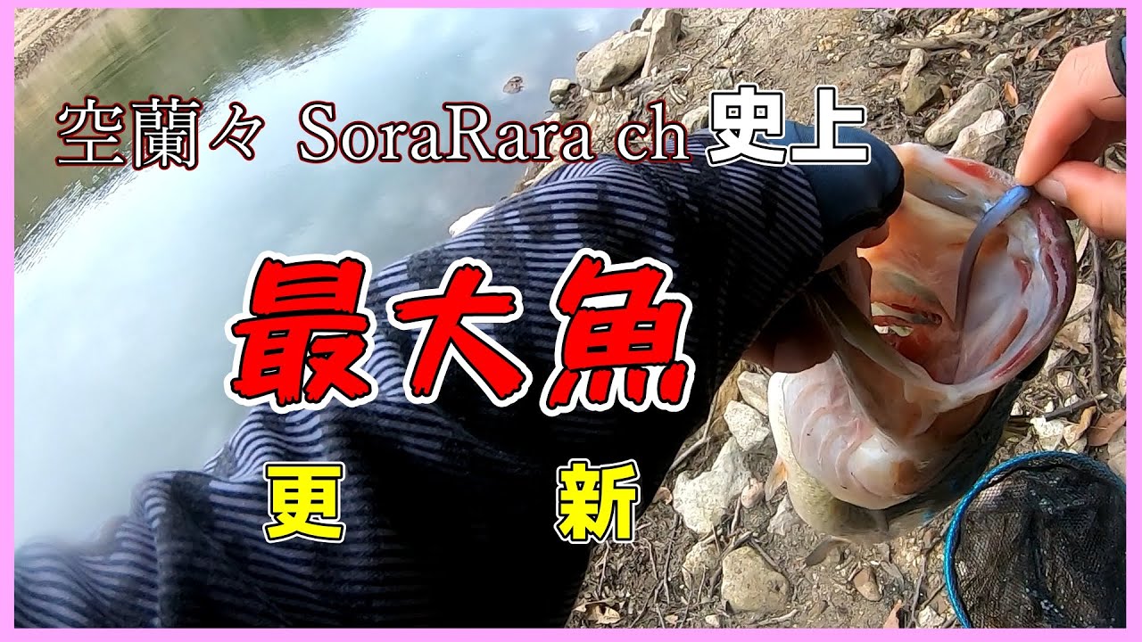 【スト】つーか究極【ドロップショットミノー】