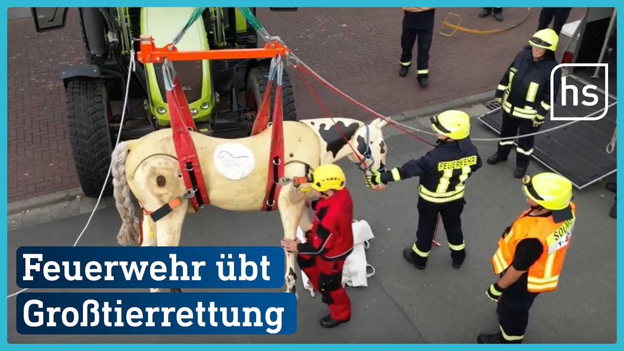 Großtierrettung in Solms | hessenschau