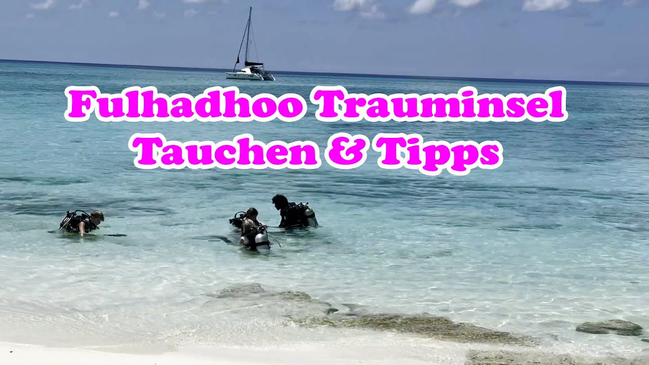Tauchen auf Fulhadhoo Malediven 🐠 | Sunkissed Family gibt Tipps für euren Traumurlaub