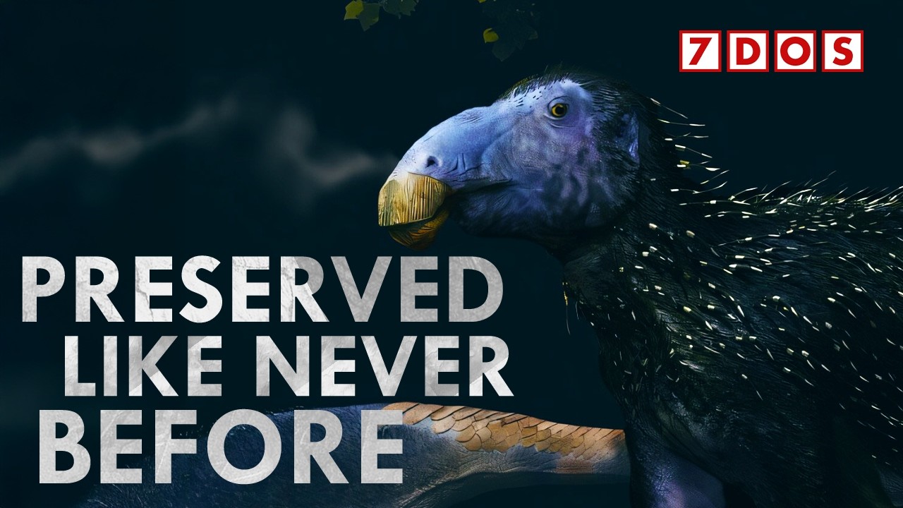 A New Look For Dinosaurs