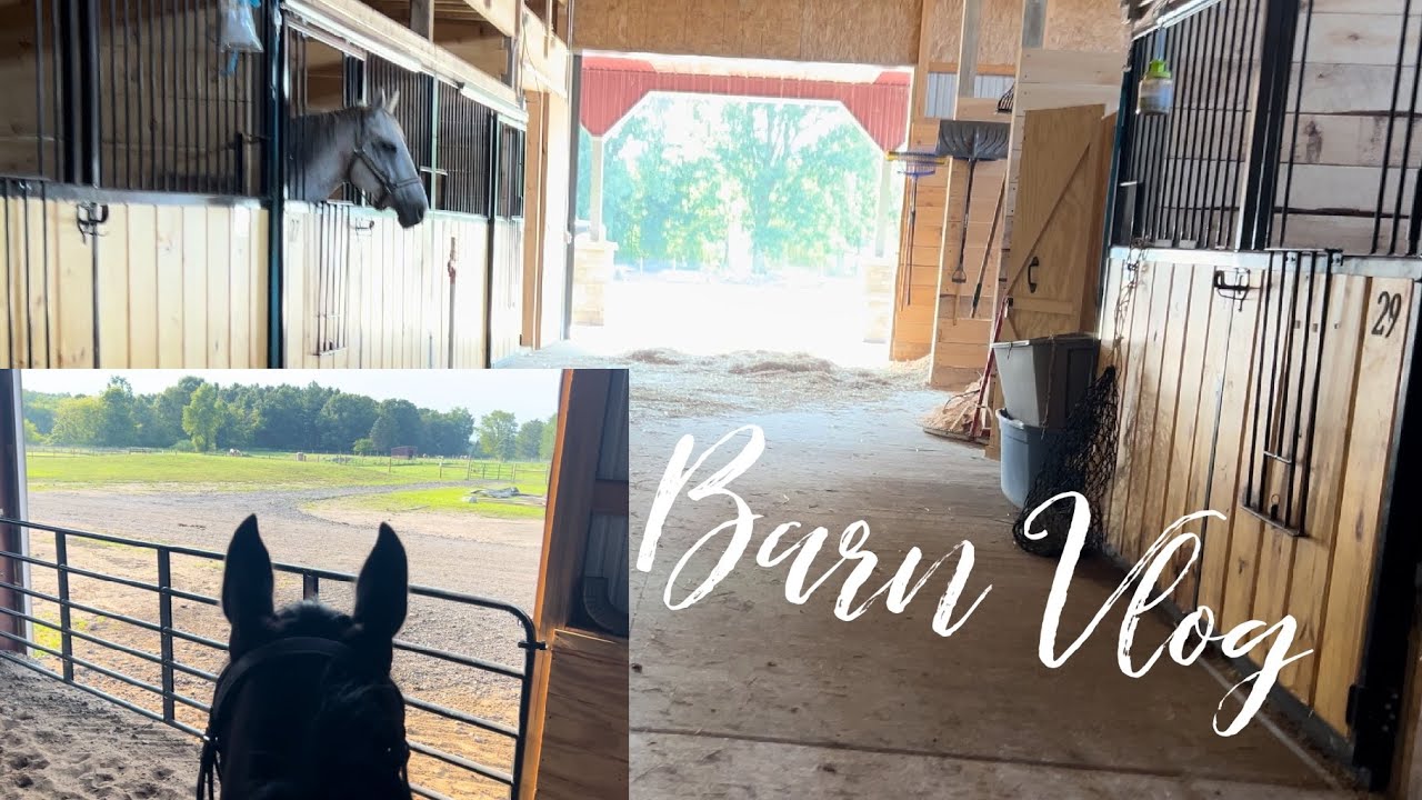 Riding horses again - Barn Vlog