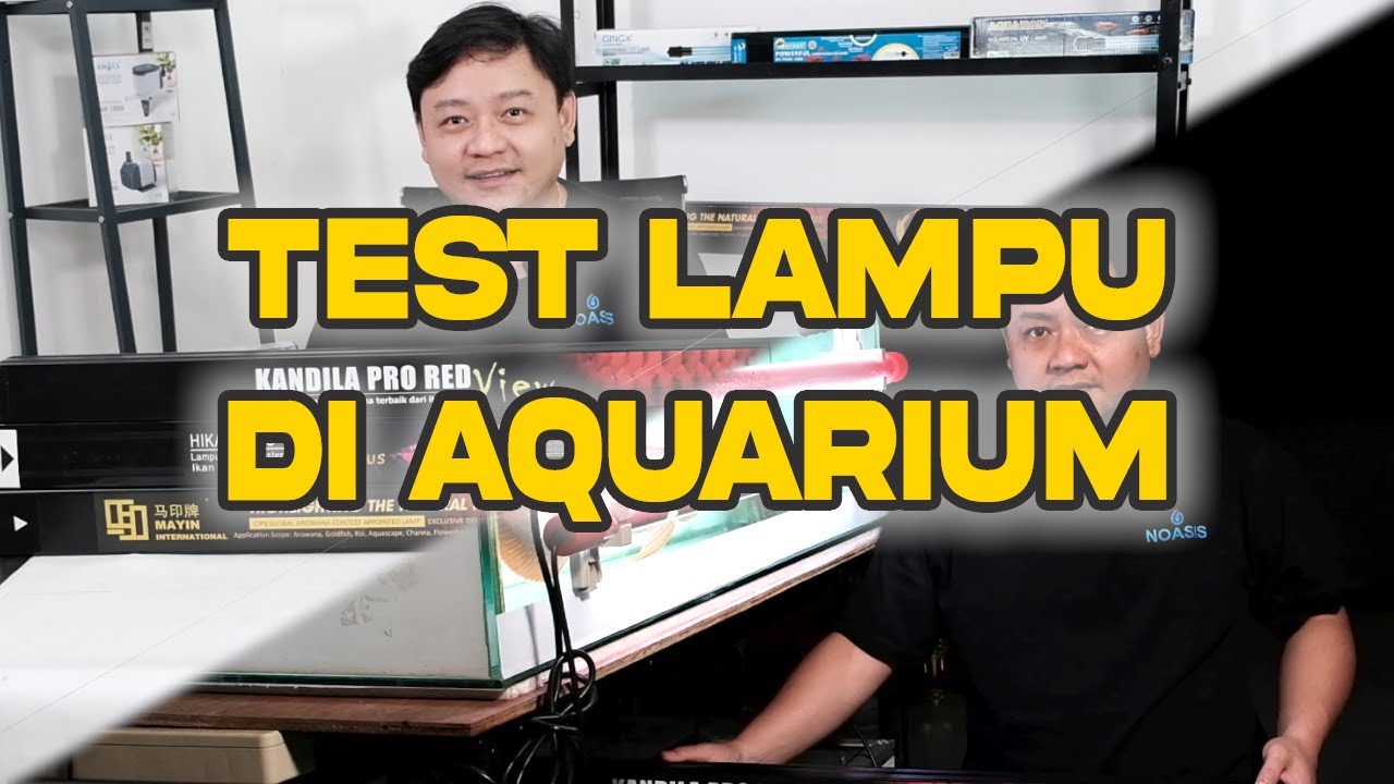 AKHIRNYA YANG  DITUNGGU