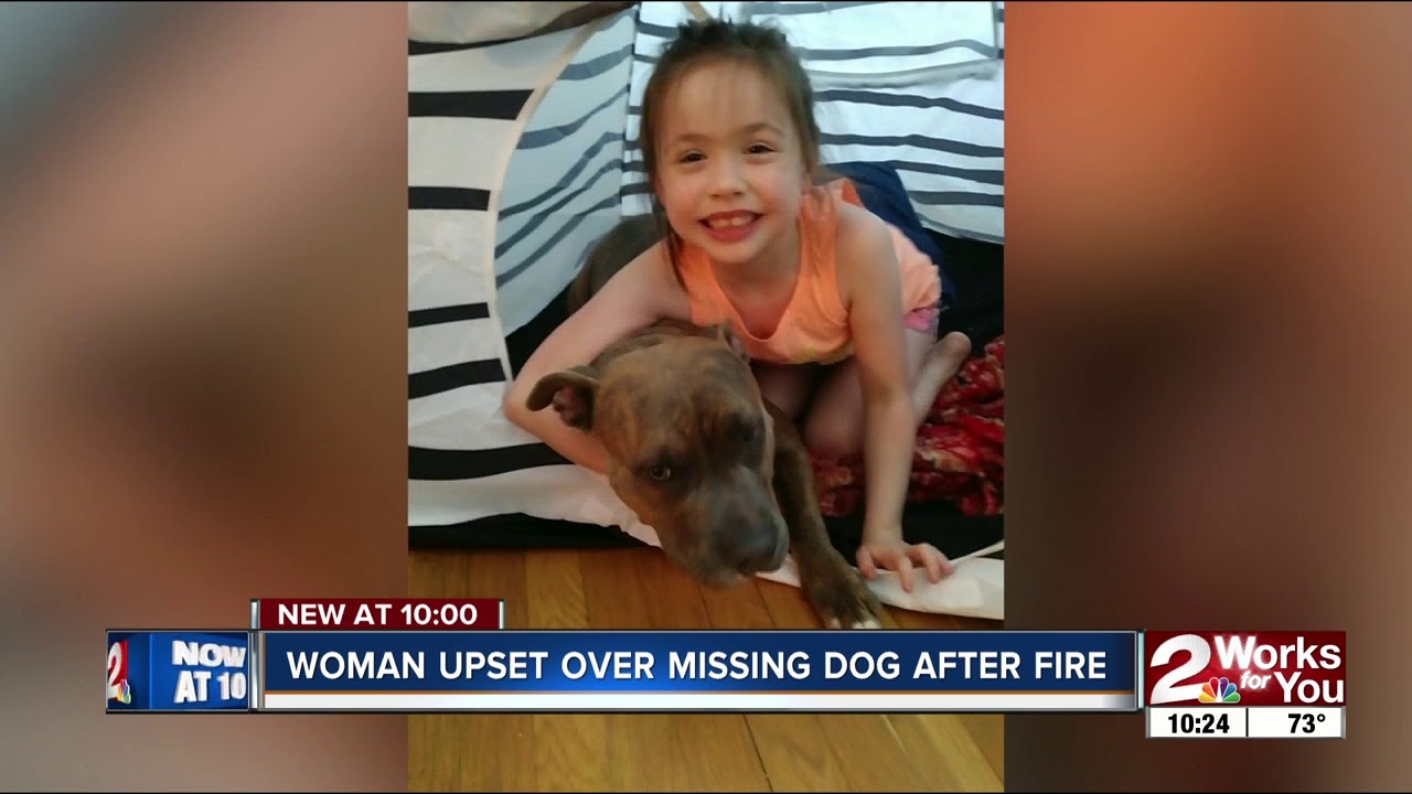 Tulsa family looking for dog housed by Red Cross volunteer