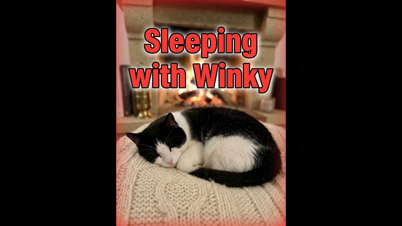 Sleeping with Winky