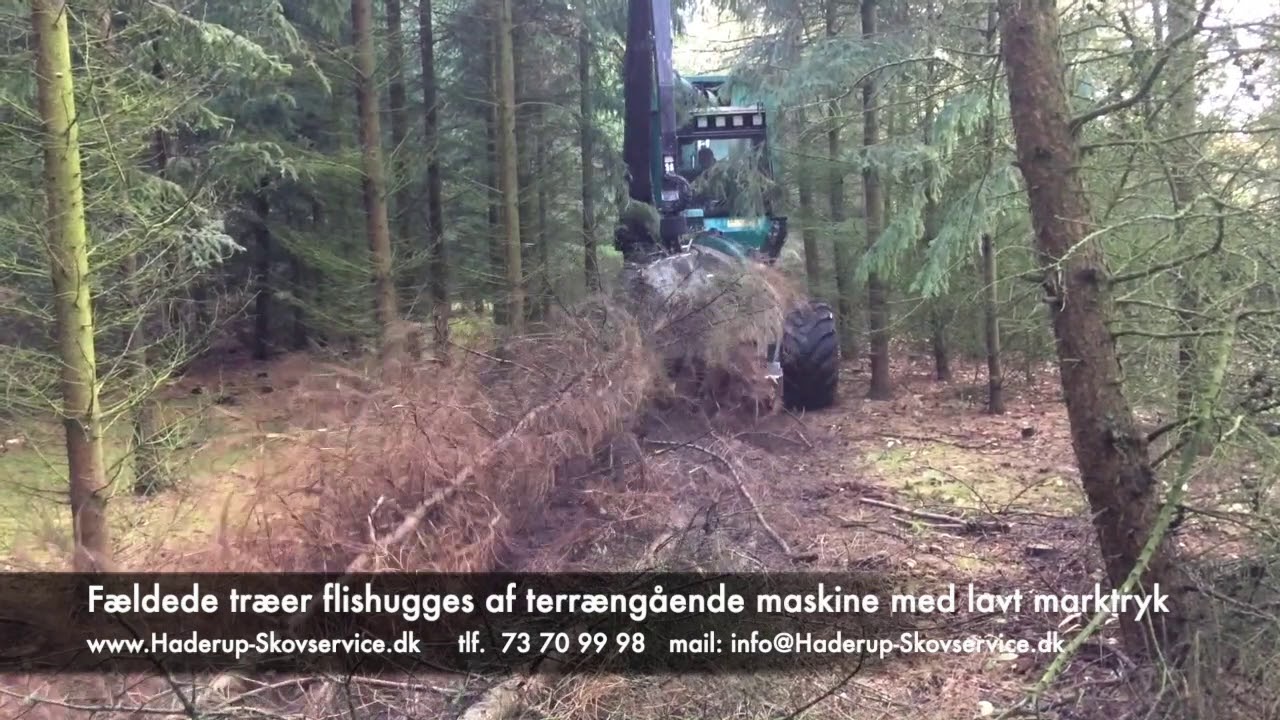 Udtynding og flishugning