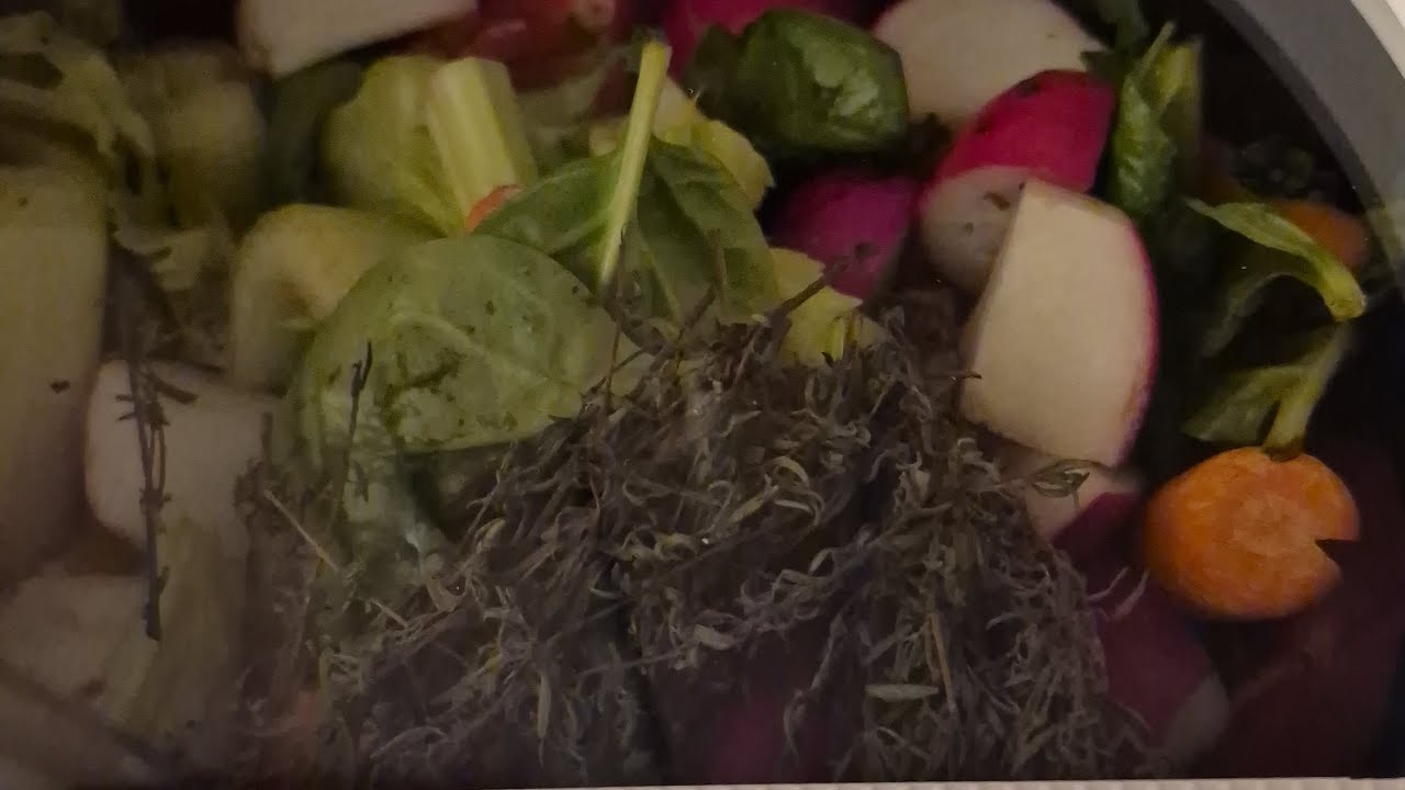 Composting in the Winter in Zone 6A