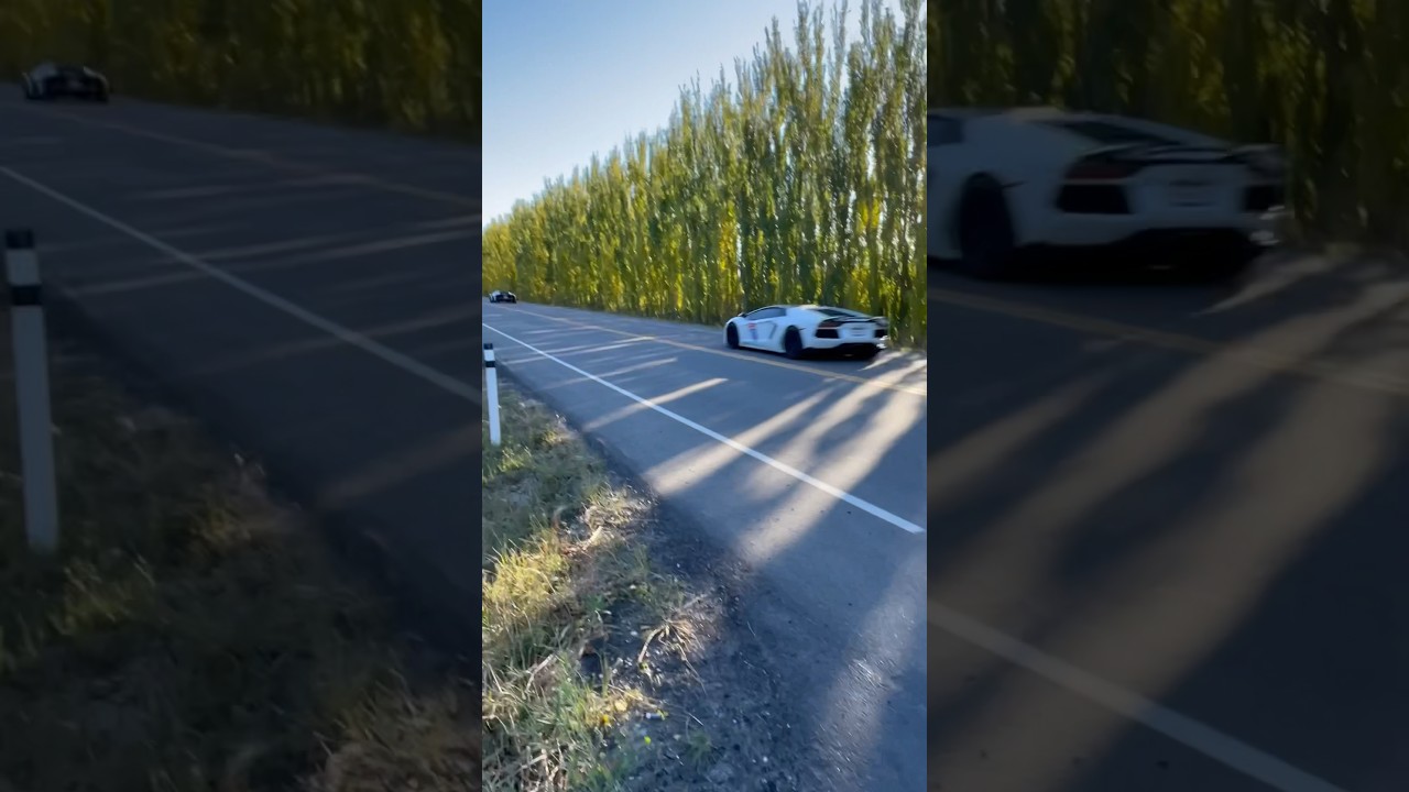 2x Gintani Aventador flyby