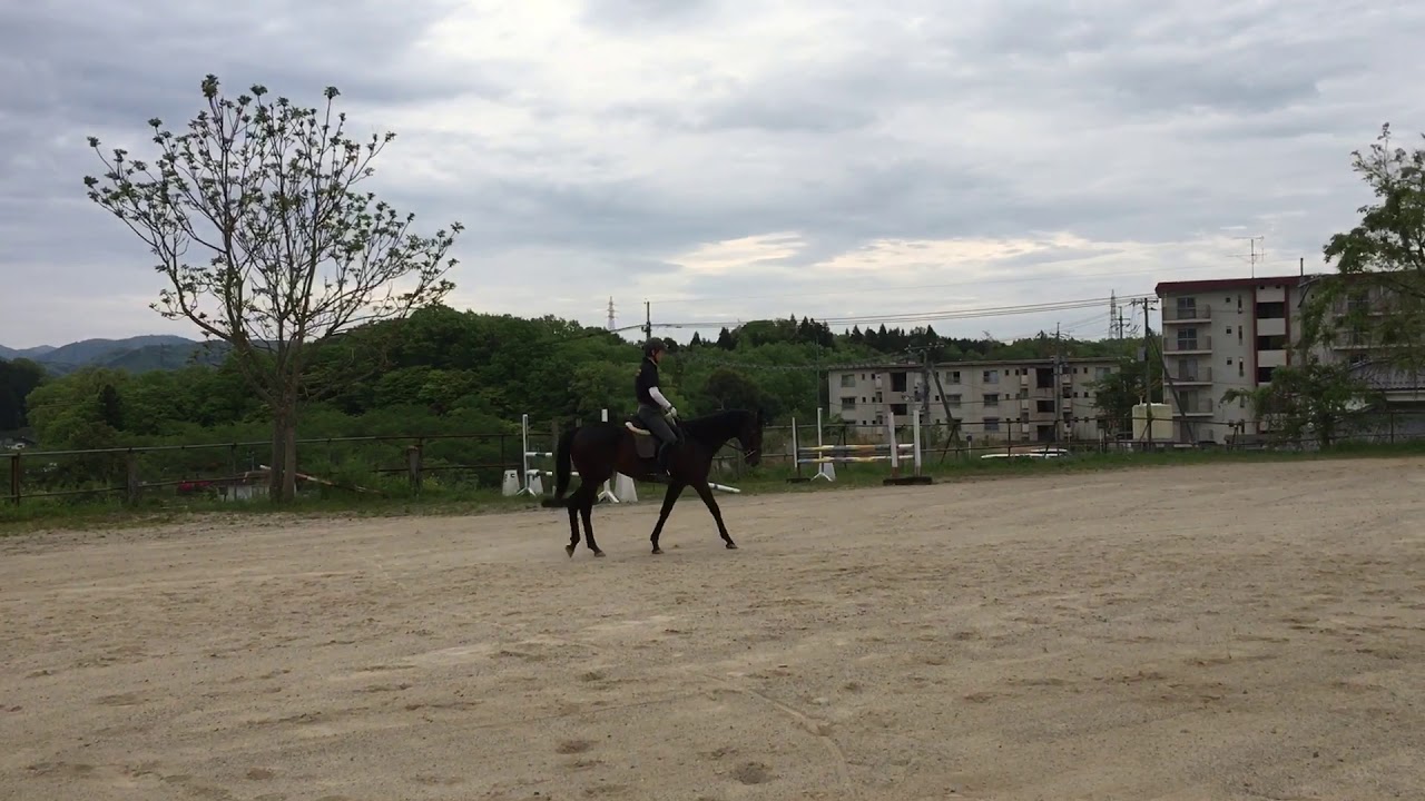 2020.5.9. ケントオー 騎乗3鞍目