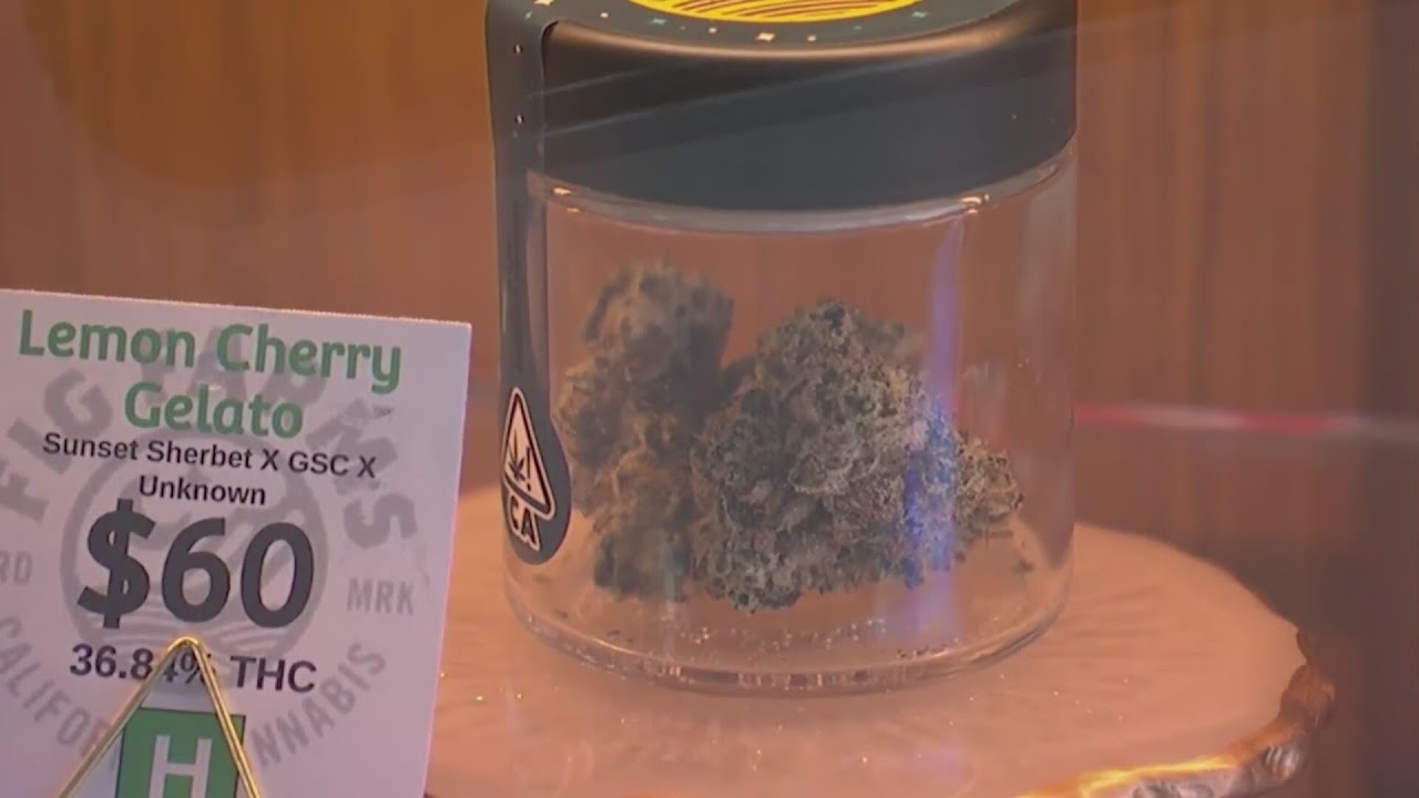 Metropolitan Community College launches online cannabis certificate programs