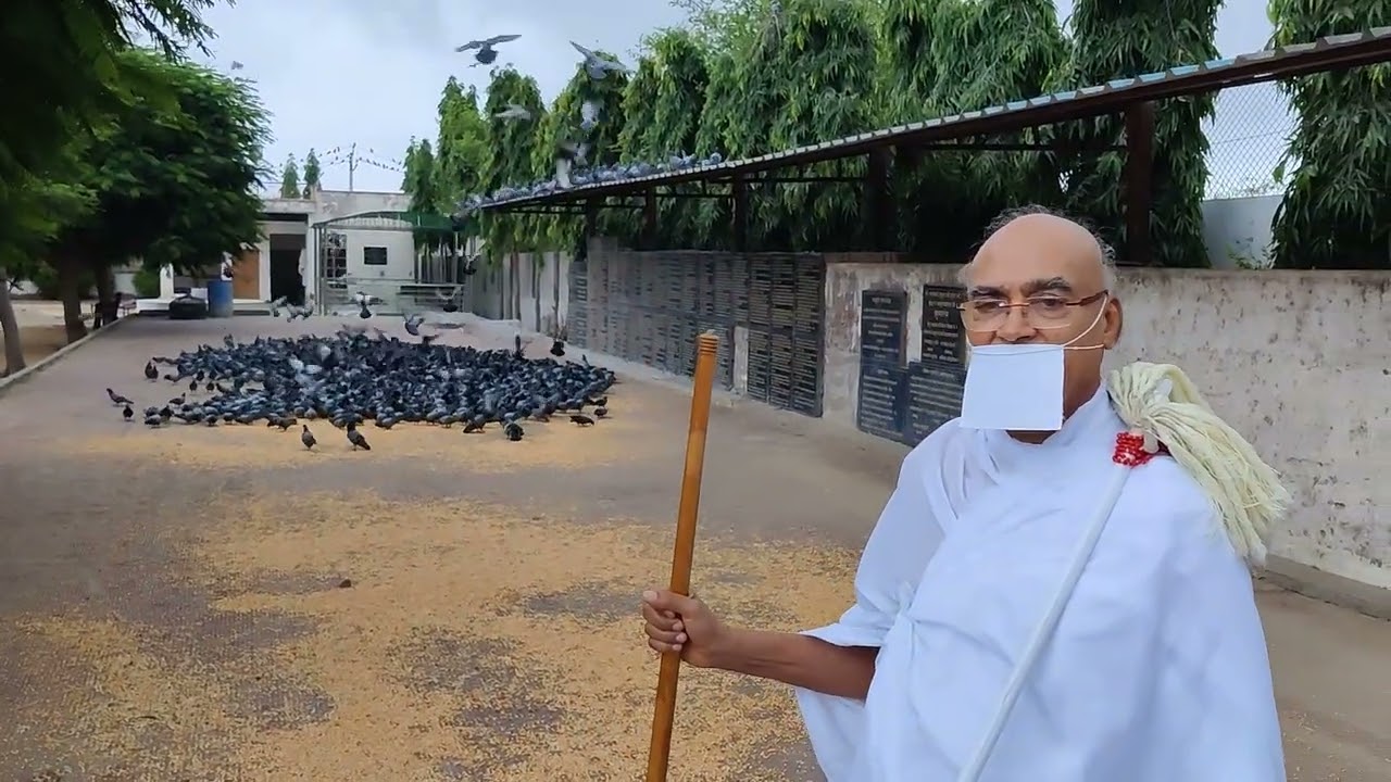 kabootar shala peeh vinay muniji & Gautam muniji Maharaj saheb