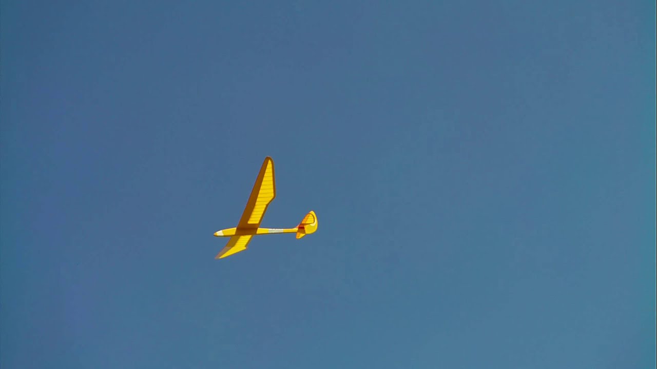 Bird of Time