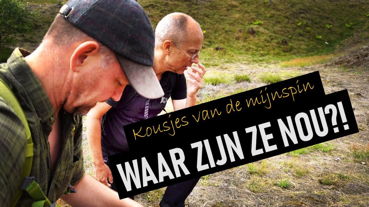 Op zoek naar de kousjes van de mijnspin