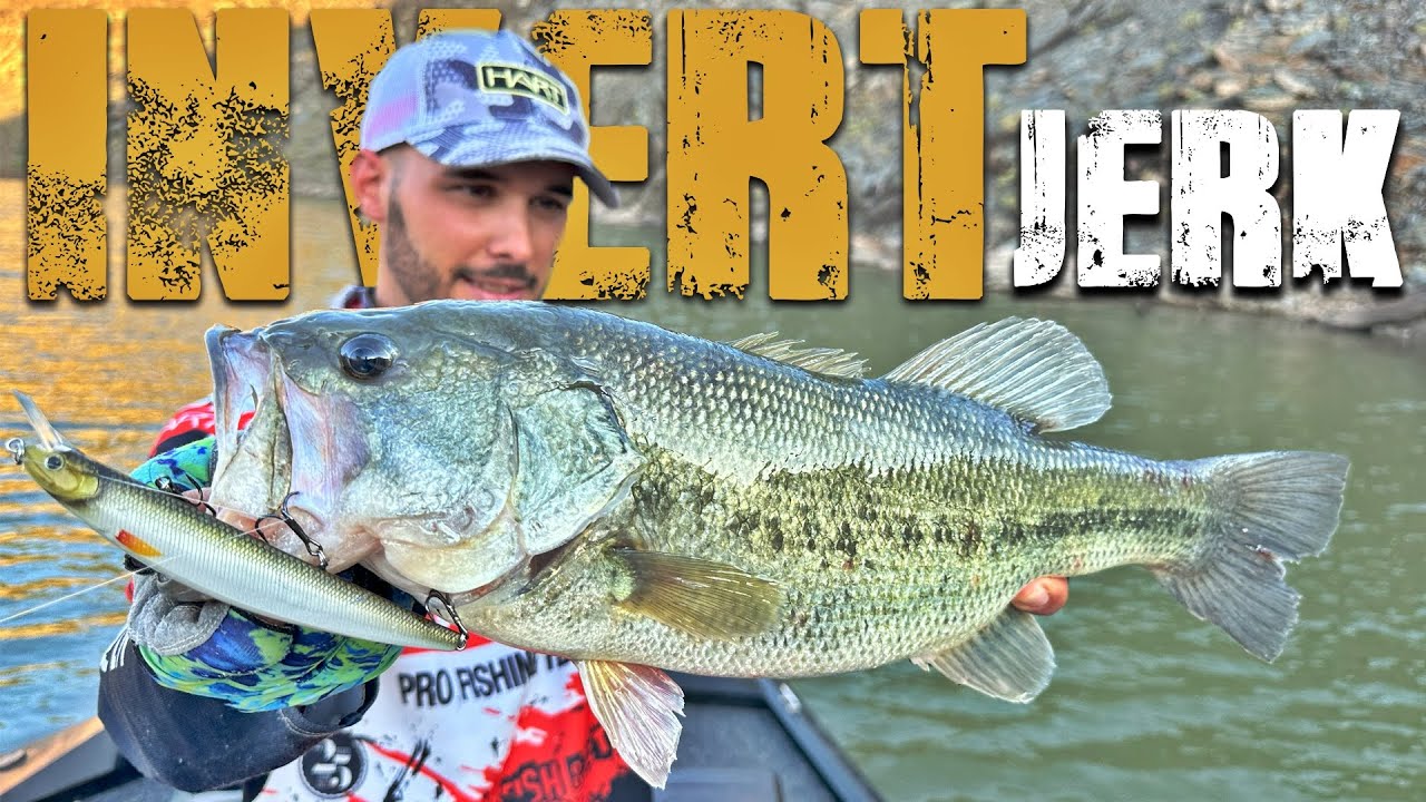 DOS horas PESCANDO BLACK BASS dan para mucho...