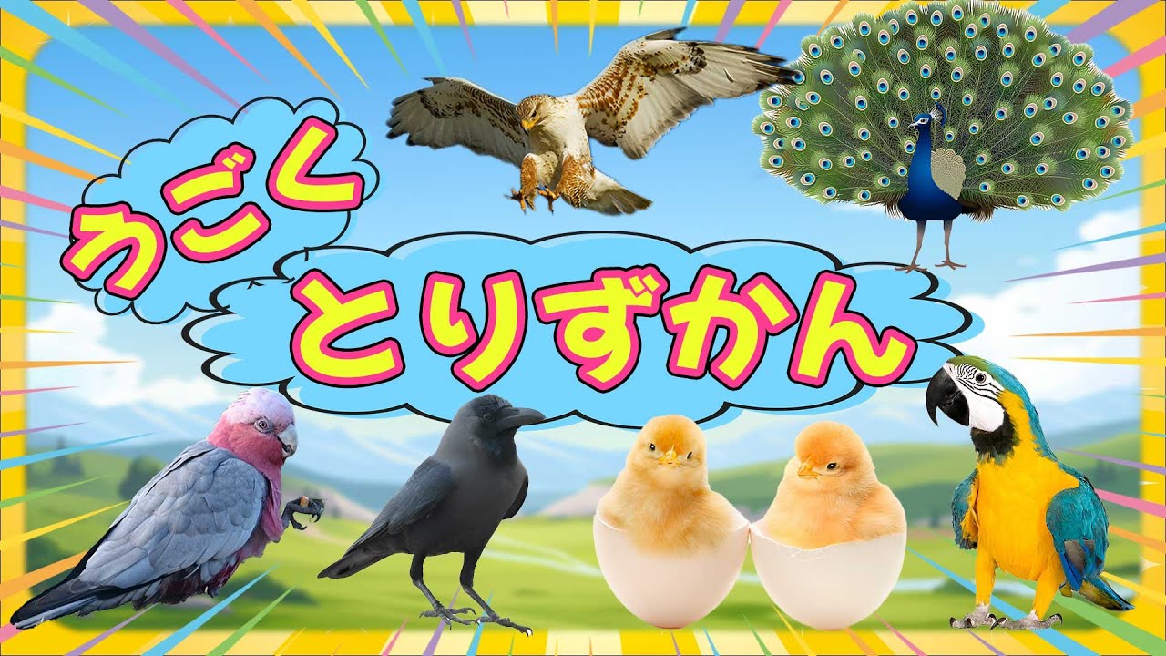 【動く人気の鳥図鑑（15種類）】動く図鑑-０歳から3歳向け